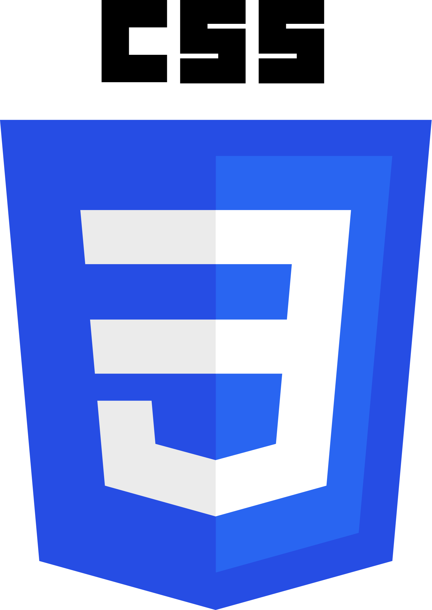 logo_css