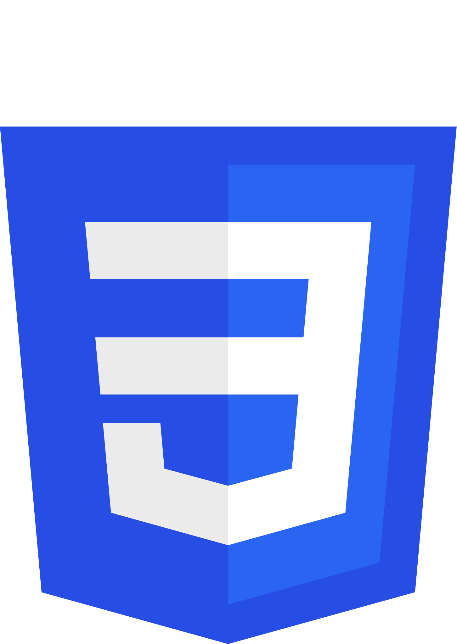 logo_css2